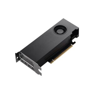 PNY RTXA2000 12GB DDR6 192Bit 4 xDISPLAY ÇIKIŞLI PASİF SOĞUTUCULU YAPAY ZEKA AI EKRAN KARTI  (VCNRTXA2000-12GB-SB)