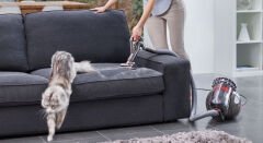 DYSON CINETIC BIG BALL ABSOLUTE 2 700W SUPURGE